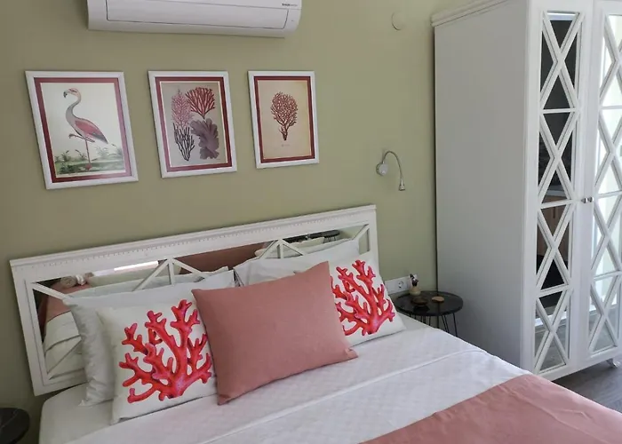 Zarbali Cunda * Ayvalı