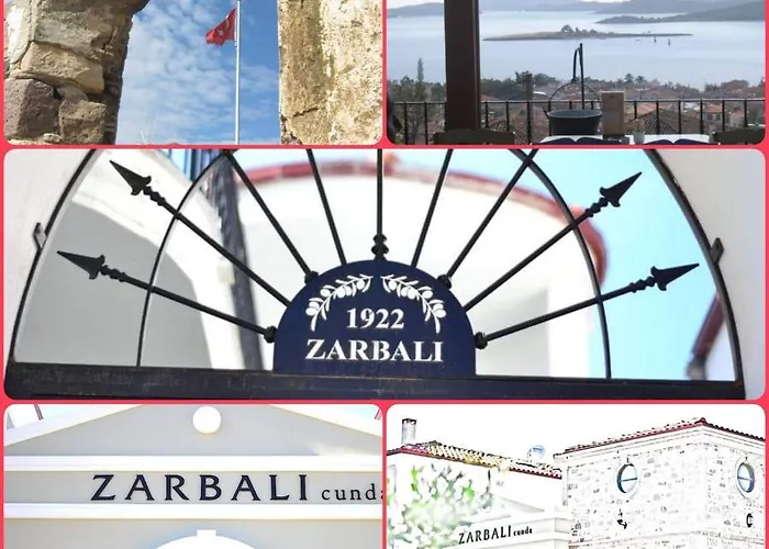 Zarbali Cunda Ayvalı