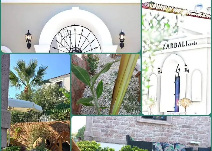 Zarbali Cunda * Ayvalı