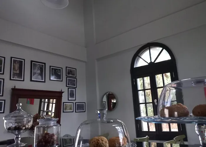 Zarbali Cunda Ayvalı